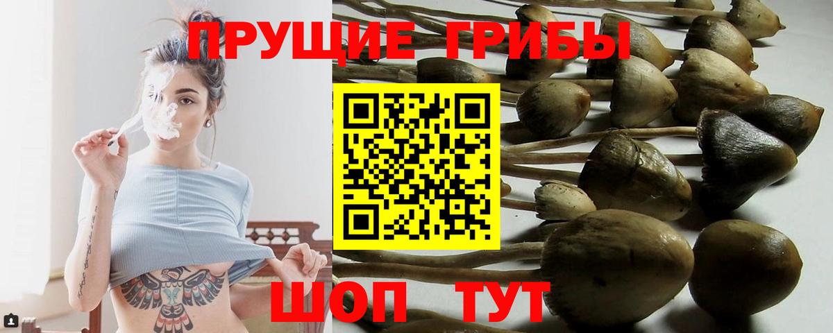 Майский  Псилоцибиновые грибы мицелий  Вход с VPN 